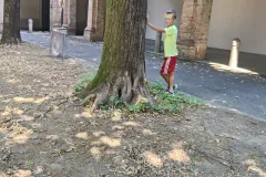 IMG20260623150101